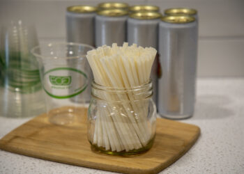 Eco-Products launches new line of compostable straws made from plant-based plastic