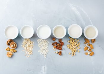 Plant-based milk global market report 2022