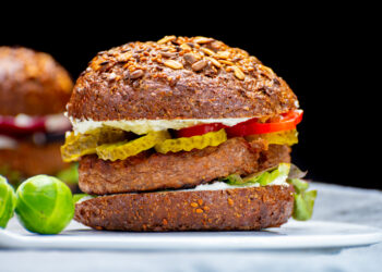 Plant-based protein processing equipment market to reach $1.68 billion by 2029