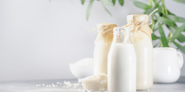 Major players in the dairy alternatives