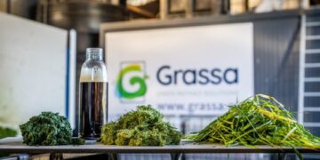Meat substitutes based on grass-based proteins