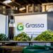 Meat substitutes based on grass-based proteins
