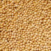 Bunge announces increased monitoring of soybeans from its indirect supply chain in Brazil