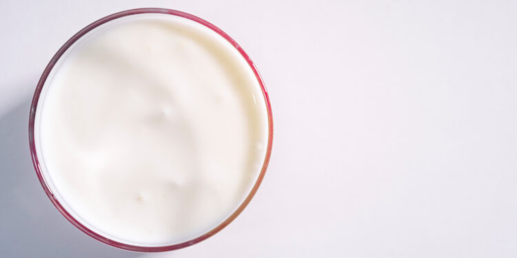 The plant-based yogurt market is expected to grow by 2028