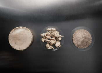 eniferBio raises €11M to make planet-friendly fungal protein from the by-products of food and agricultural processes