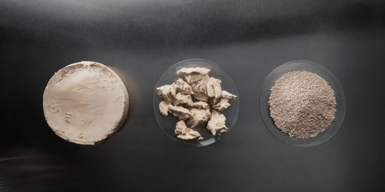 eniferBio raises €11M to make planet-friendly fungal protein from the by-products of food and agricultural processes
