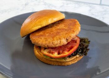 The ISH™ Company launches new plant-based seafood alternative