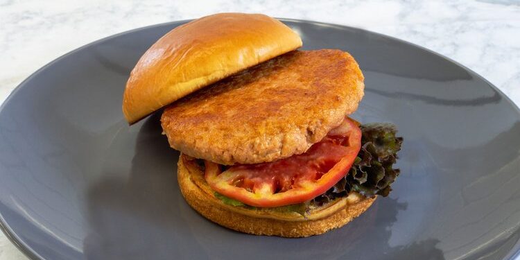 The ISH™ Company launches new plant-based seafood alternative