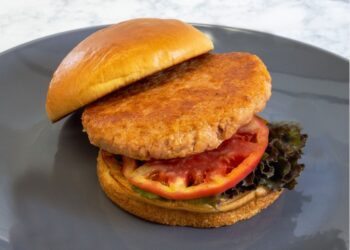 The ISH™ company launches Salmonish™ Burgers, new plant-based seafood alternative