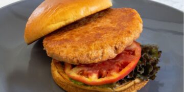 The ISH™ company launches Salmonish™ Burgers, new plant-based seafood alternative