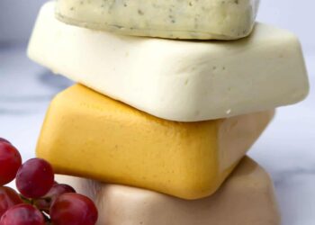 Innovate cutting-edge plant-based cheeses indistinguishable from dairy cheeses