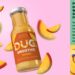 Veg of Lund launches DUG Mango smoothie