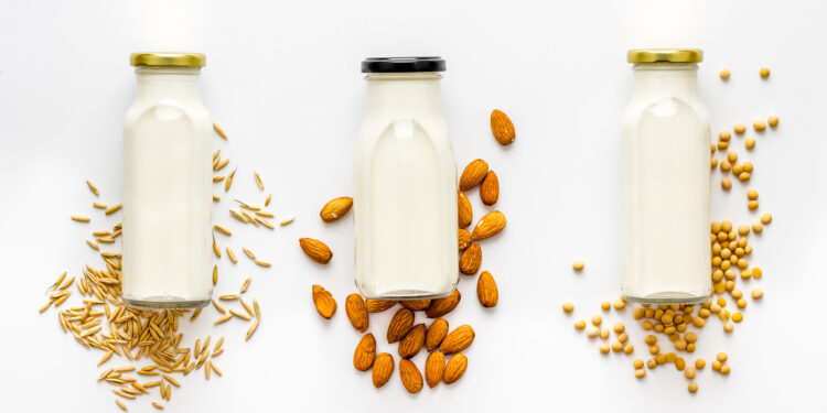 Global plant-based food processing equipment market headed for rapid growth
