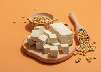 Rising lactose intolerance cases fuel growth of global vegan cheese market