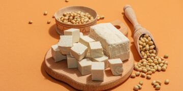 Rising lactose intolerance cases fuel growth of global vegan cheese market