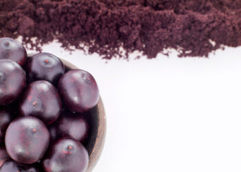 Acai Berry’s rise in recognition as a superfood to boost market growth