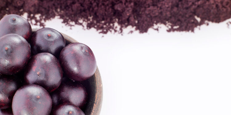 Acai Berry’s rise in recognition as a superfood to boost market growth