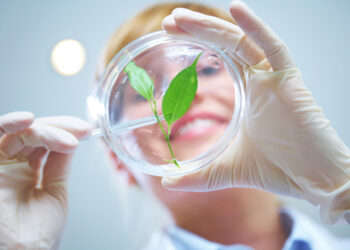 Ayana Bio and Robertet unveil functional gummies with plant cell cultivation technology