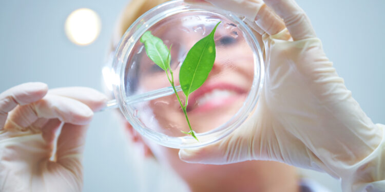 Ayana Bio and Robertet unveil functional gummies with plant cell cultivation technology