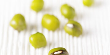 Advanced Protein Technology announces new plant-Based products with ioPea™
