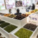 Anuga 2023: The world’s largest organic trade fair “Anuga Organic” welcomes visitors to Cologne
