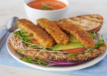 Franklin Farms introduces innovative Chickpea Tempeh