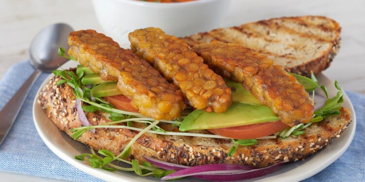 Franklin Farms introduces innovative Chickpea Tempeh