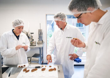 Dutch family business Schouten introduces plant-based