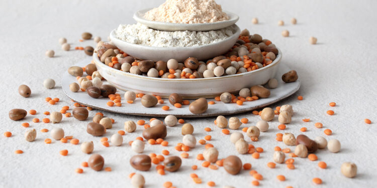 GoodMills Innovation unveils natural ingredient solutions for plant-based products
