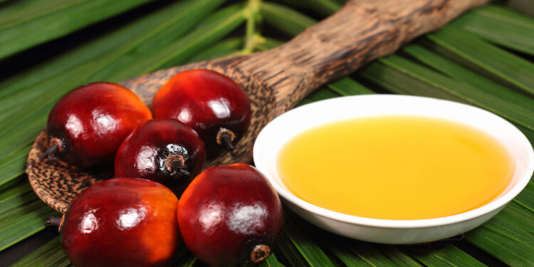 AAK’s response to the article regarding palm sourcing in Tesso Nilo