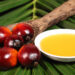 AAK’s response to the article regarding palm sourcing in Tesso Nilo