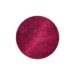 Ayana Bio launches Plant Cell Advantage™ portfolio with three new health and wellness ingredients