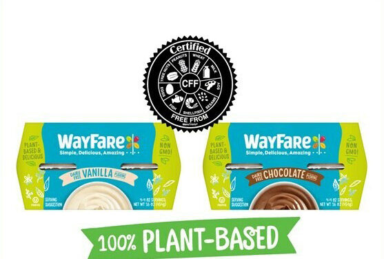 Dairy-free delights: WayFare’s silky-smooth puddings, certified free from allergens, hit grocery shelves