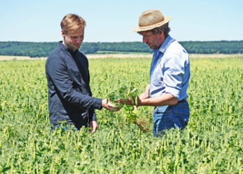 Nordzucker invests in plant-based proteins, and the new plant goes into operation in 2026