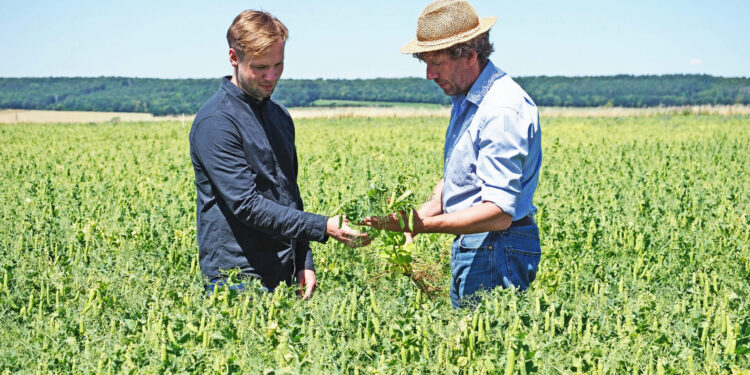 Nordzucker invests in plant-based proteins, and the new plant goes into operation in 2026