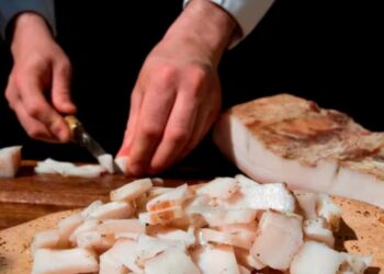 Nourish Ingredients raises $11M USD to create sustainable, better-tasting animal-free fats