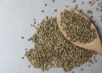 Burcon enters into production agreement with partner manufacturer to produce hempseed protein