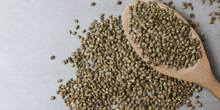 Burcon enters into production agreement with partner manufacturer to produce hempseed protein