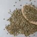 Burcon enters into production agreement with partner manufacturer to produce hempseed protein