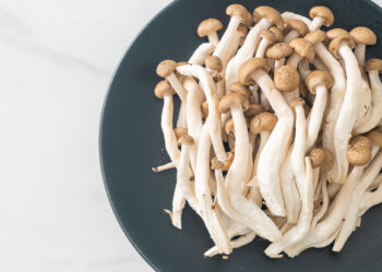 unClassic Foods is changing the narrative around plant-based protein with specialty mushrooms