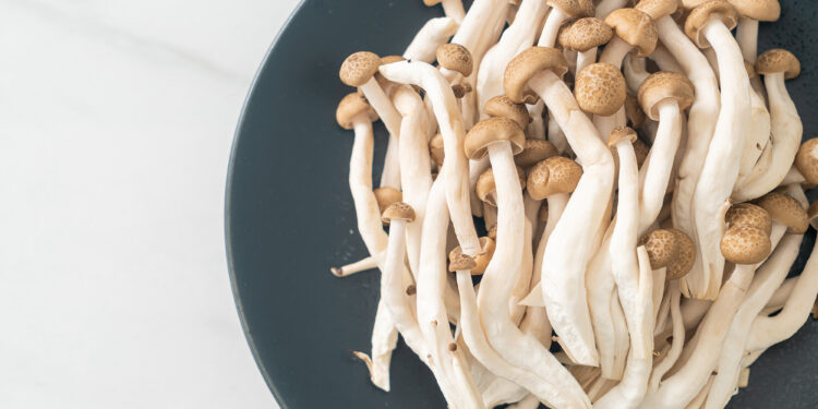 unClassic Foods is changing the narrative around plant-based protein with specialty mushrooms