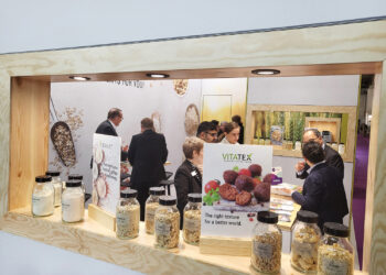 GoodMills Innovation highlights increasing demand for plant-based solutions at Food Ingredients Europe in Frankfurt