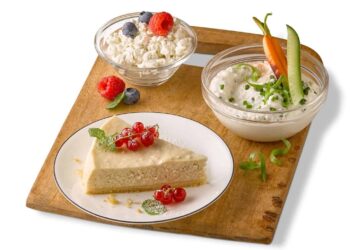 Planteneers offers a wide range of fermented milk alternatives