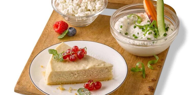 Planteneers offers a wide range of fermented milk alternatives