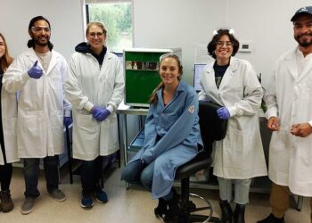 Plantible Foods has used Elementar’s rapid N exceed® for faster and more efficient quantitation of nitrogen and protein for its plant-based protein production