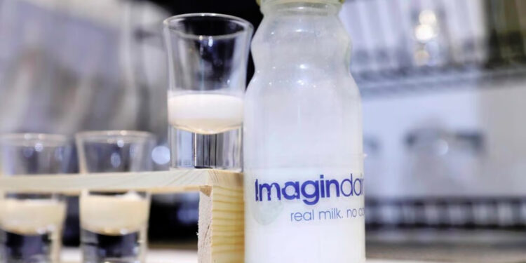 Imagindairy unveils industrial-scale manufacturing of its milk protein in newly owned 100,000-liter production lines