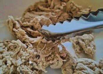 70/30 Food Tech launches Mycelium Research Lab and successfully closes seed extension