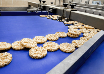 Chiorino, Vegan certified conveyor belts