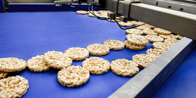 Chiorino, Vegan certified conveyor belts