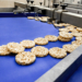 Chiorino, Vegan certified conveyor belts